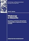 Windenergie in Südamerika: Darstellung und Analyse ökonomischer Einflussgrößen in Argentinien, Brasilien und Chile (Entscheidungs- und Organisationstheorie)