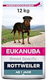 Eukanuba Breed Specific Rottweiler Trockenfutter - optimal auf die Rasse abgestimmtes Premium Hundefutter mit Huhn, 12 kg