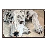 Vintage Werbewand Zinnplakat Plakette -Haustier Hund Tier,Metallschild Dekoratives Schild,Haus Schlafzimmer Büro Küche Geschenk