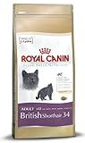Royal Canin Feline British Shorthair, 1er Pack (1 x 400 g)