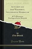 Aufgaben aus dem Wasserbau, Angewandte Hydraulik: 40 Vollkommen Durchgerechnete Beispiele (Classic Reprint)