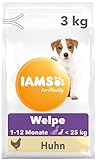 IAMS for Vitality Junior Hundefutter trocken - Welpenfutter für Welpen im Alter von 1-12 Monaten, geeignet für kleine & mittelgroße Rassen, 3 kg