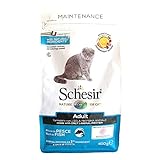 Schesir Cat Adult Maintenance Fisch, Katzenfutter trocken für Erwachsene Katzen, Trockenfutter im Beutel, 1er Pack (1 x 400 g)