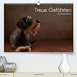 Treue Gefährten - Hundeportraits (Premium, hochwertiger DIN A2 Wandkalender 2021, Kunstdruck in Hochglanz)