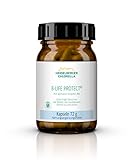Heidelberger Chlorella – B-Life Protect Kapseln, mit aktivem Vitamin B6 (Pyridoxal-5-Phosphat), vegan, hochdosiert, hohe Bioverfügbarkeit, hergestellt in Deutschland, 72 g, 120 Kapseln