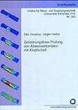 Zerstörungsfreie Prüfung von Abwasserkanälen mit Klopfschall (Schriftenreihe Institut für Mess- und Regelungstechnik, Universität Karlsruhe (TH))