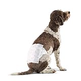 Amazon Basics - Hundewickel für Rüden, Große, 30er-Pack