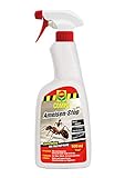 COMPO Ameisen-Stop, Insektenspray mit Langzeitwirkung, 500 ml