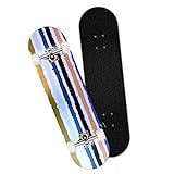 Perfeclan Komplette Skateboard-Gleitplatte, 9 Schichten, chinesisches Ahornholz, 85 A, langes, Holzdeck, Cruiser für Teenager, Erwachsene, Kinder, Regenbogen