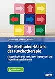 Die Methoden-Matrix der Psychotherapie: Systemische und verhaltenstherapeutische Techniken kombinieren. Mit E-Book inside