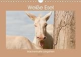 Weiße Esel - Märchenhafte Langohren (Wandkalender 2021 DIN A4 quer): Lichtbringer Barockesel (Monatskalender, 14 Seiten ) (CALVENDO Tiere)