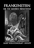 Frankenstein or the Modern Prometheus (English Edition)