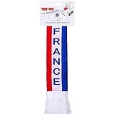 TRUCK DUCK® LKW Auto Minischal France Frankreich Trucker Mini Schal Wimpel Flagge Fahne Saugnapf Spiegel Deko