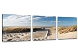 Visario 4221 Bilder auf Leinwand Bild 150 x 50 cm Strand Düne Nordsee - Ostsee DREI Teile 50x50cm