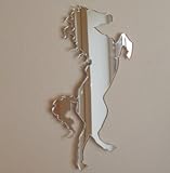 Sendmeamirror aufbäumendes Pferd Spiegel 12 cm x 8 cm