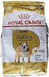 ROYAL CANIN Bulldog Adult 3 kg, 1er Pack (1 x 3 kg)