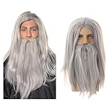 UILYNIU Grau Zauberer Perücke und Lang Bart Halloween Kostüm Perücken, Lang Grau Gerade Perücke für Herren Damen, Magier Hexer Perücke für Männer Halloween Fasching Karneval Hippie Perücke (Grau)