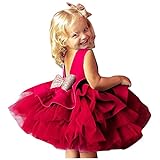 Huihong Baby Kinder Ärmelloses Kleid Blumenstickerei Spitze Puffrock für Mädchen Kleidung Cupcake-Kleid Tutu Kleid Festtagskleid Prinzessinenkleid (Rot, 90)