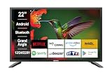 Heming Smart TV 22' (55 Zentimeter) Android 11 WiFi mit Bluetooth - 12V/24V/220V - Wohnmobil, LKW, Transporter, Schwerlastfahrzeug, Wohnwagen, Boot, Küche - 2 Jahre G