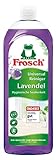 Frosch Lavendel Universal-Reiniger,kraftvoller Allzweckreiniger, leistungsstarke Reinigungskraft fürs gesamte Zuhause, 1er Pack (1 x 750 ml)