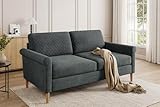Vesgantti Sofa 2 Sitzer, Doppelsofa 164cm mit beidseitigen Taschen, Stoff Sofa mit Kissen Montage ohne Werkzeug für Wohnzimmer, Büro, kleinen Raum, Schlafzimmer 164L*76D*85H cm, G