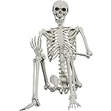 Halloween-Skelett 165cm realistische Lebensgröße posable menschliche Skelett Knochen mit beweglichen Gelenken für Halloween Spukhaus Dekoration