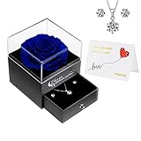 Sunia Ewige Rose - Konservierte Echte Blau Rose mit Silberkette Geschenk, Rosenbox Verzauberte Echte Rose Blume Zum Valentinstag Jubiläum Frauen Mama