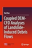 Coupled DEM-CFD Analyses of Landslide-Induced Debris Flows (Springer Tracts in Civil Engineering) (English Edition)
