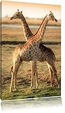 Giraffen Paar Format: 80x60 auf Leinwand, XXL riesige Bilder fertig gerahmt mit Keilrahmen, Kunstdruck auf Wandbild mit Rahmen, günstiger als Gemälde oder Ölbild, kein Poster oder Plakat