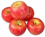 Deko Kunstobst Kunstgemüse künstliches Obst Gemüse Dekoration Apfel (rot, 5 Stück leichten Qualität)