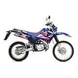 Auspuff für 125 ccm YAMAHA DT 125 R/X Bj. 04-06 Komplettanlage Carbon mit ABE GIANNELLI
