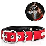 PetTec Halsband für große & kleine Hunde aus Trioflex™ | wetterfest & verstellbar in Farbe | Hundehalsband in Rot, Braun, Schwarz & Leuchtend Orange