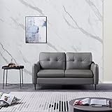 Z-hom 2 Sitzer Sofa Echtleder Leder Lounge Couch Ledersofa Mit Armteilfunktion (156 x 91 x 87 cm 2 Sitzer, Gray)