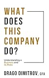 What Does This Company Do?: Understanding a Business and its Risks (English Edition)