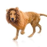Löwenmähne Perücke für Hundekostüm mit Ohren Haustier Verstellbar Cosplay Urlaub Fotoshootings Party Fancy Lion Hut Party Aktivität Hellbraun
