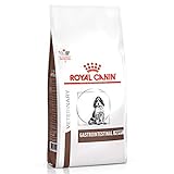 ROYAL CANIN Gastro Intestinal Junior Hund (GIJ 29) 1 kg