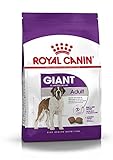 Royal Canin 35245 Giant Adult 4 kg - Hundefutter