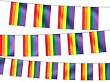 Alsino Wimpel Dekoration Länderwimpel Länderfahnen Wimpelkette Länderflaggen Fanartikel, Modell wählen:Wimpel Rainbow