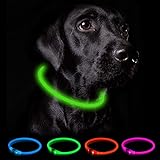 Nepfaivy Leuchthalsband Hund USB Aufladbar - Wasserdichtes Hundehalsband Leuchtend mit 3 Beleuchtungsmodi, Längenverstellbareres LED Halsband für Kleine, Mittlere und Große Hunde (Grün)
