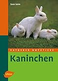 Kaninchen (Ratgeber Nutztiere)