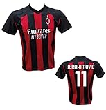 DND Di Andolfo Ciro Fußballtrikot Zlatan Ibrahimovic 11 Milan Lizenznachbildung 2020-2021 Größen für Kinder und Erwachsene (XL Erwachsene)