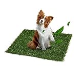 YZZR Hundetoilette Kunstrasen für Hunde Professionelle Hunderasenmatten Hundetrainingsrasenmatten Kunstrasen,pflegeleicht,Indoor-Terrassen-Trainingsrasendekoration (Verschiedene Größen)