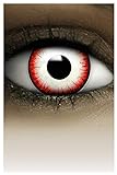 FXCONTACTS Farbige Halloween Kontaktlinsen UNDEAD ZOMBIE, weich, 2 Stück (1 Paar), Ohne Sehstärke