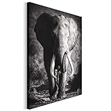 Revolio 80x120 cm Leinwandbild Wandbilder Wohnzimmer Modern Kunstdruck Design Wanddekoration Deko Bild auf Leinwand Bilder 1 Teilig - Elefant Tier schwarz-weiß grau