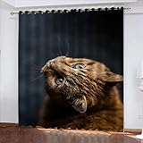 WDMXNZ Ösenvorhang B 220cm x H 215cm Katze Haustier Blickdichte Gardinen Rollo verdunkelung Vorhang tür lärmschutzvorhang