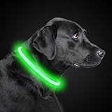 PetIsay LED Leuchthalsband Hund Halsband USB wiederaufladbar, Längenverstellbarer Haustier Sicherheit Kragen für Hunde und Katzen, 3 Modus(Grün)