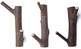 WOOD MEETS COLOR 3 Stück Garderobenhaken Holz Vintage Wandhaken Holz Vintage Natürliche Kleiderhaken Wand Geeignet für Mäntel, Schlüssel, Handtücher(Doppel haken)