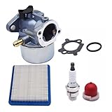 CCQDGMD Parti di riparazione Degli strumenti Für Carb für Briggs Stratton 6-6,75 PS Murray für Snapper 22 'Push-Mäher F