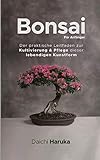 Bonsai Für Anfänger: Der praktische Leitfaden zur Kultivierung & Pflege dieser lebendigen Kunstform