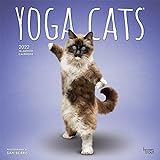 Yoga Cats - Joga-Katzen 2022 - 16-Monatskalender: Original BrownTrout-Kalender [Mehrsprachig] [Kalender] (Wall-Kalender)